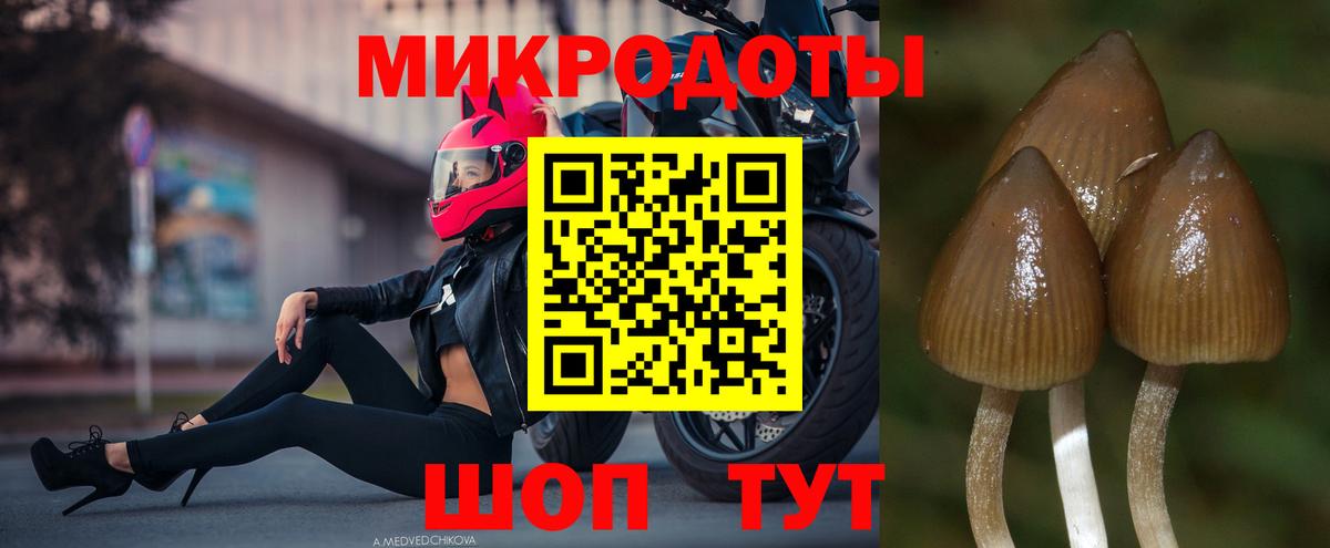 Галлюциногенные грибы Magic Shrooms Кинель