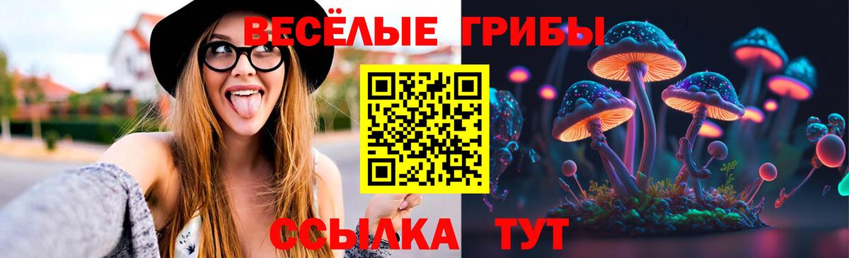 Псилоцибиновые грибы MAGIC MUSHROOMS  Кинель  Псилоцибиновые грибы Magic Shrooms 